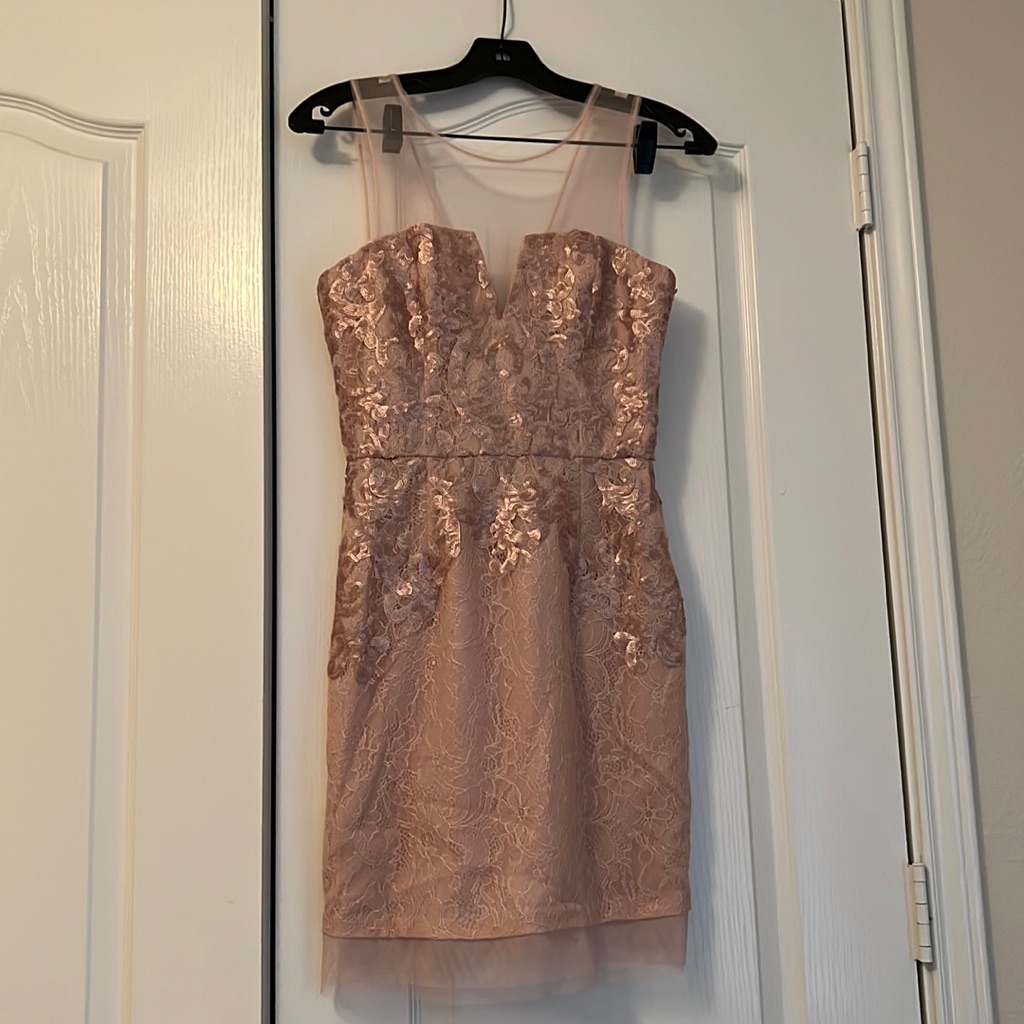 Bcbg “Abigail” Dusty Pink Dress